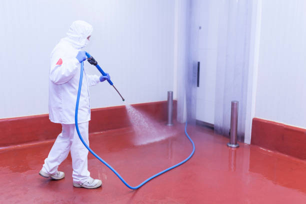Best Pool Deck Cleaning  in Hillsborough, CA